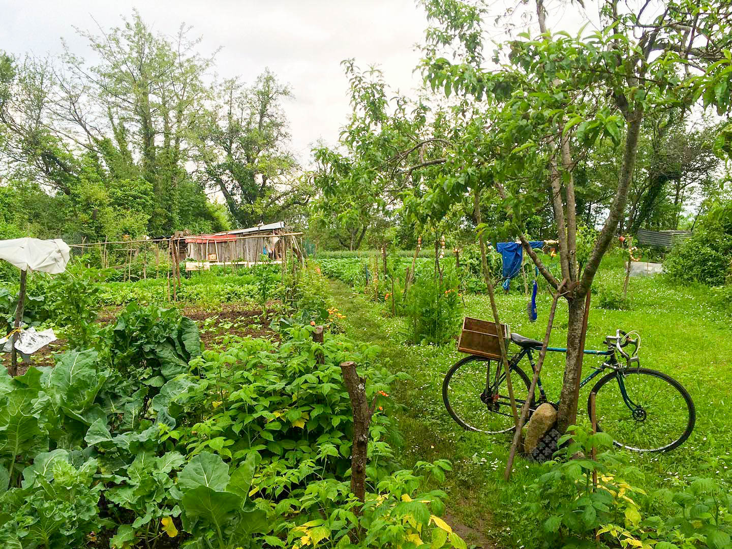 Les jardins vivriers - credit-Eric-Roux