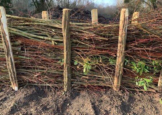 Représentation d'une haie sèche composée de branches